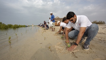 Photo: Environmental initiative supports UAE’s 100 million mangroves pledge